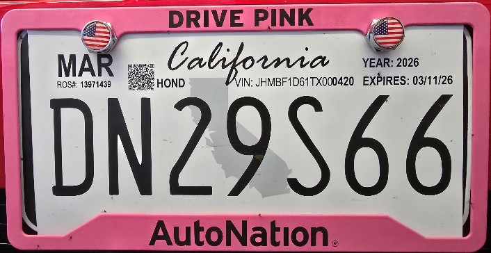 DrivePink DrivePink