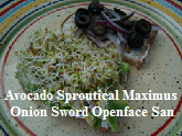 Avocado Sproutical Maximus Onion Sword Openface San-cropped