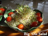 Big Ole Salad- cropped