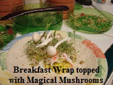 Breakfast Wrap-Cropped