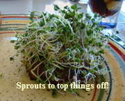 Sprouts topping