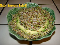 Fresh "baby" sprouts