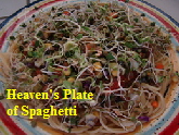 Heavens Plate of Spaghetti-cropped