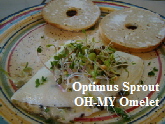 Optimus Sprout Omelet-cropped