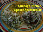 Sunday Chicken Sprout Spectacular-cropped