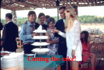 Wedding 071170 w - Diana Bil Suzanna Larry cutting cake-th